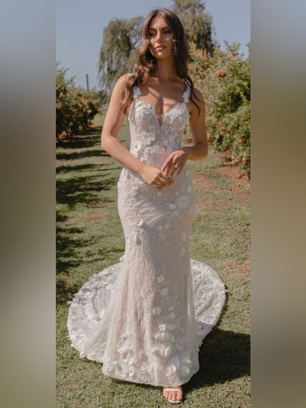 NWT Unaltered Madi Lane Suzette